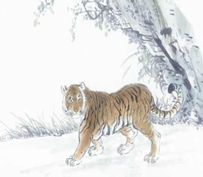 属虎人的命好不好 属虎人的命好不好