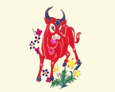 属牛的女人命好不好