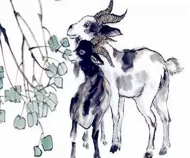 属羊人的命好不好 属羊人的命好不好