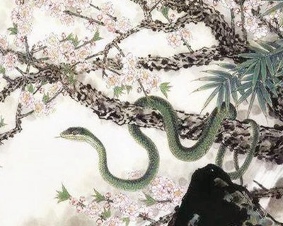 1977年属蛇的人是什么命