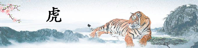 属虎