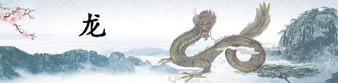 属龙