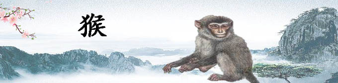 属猴