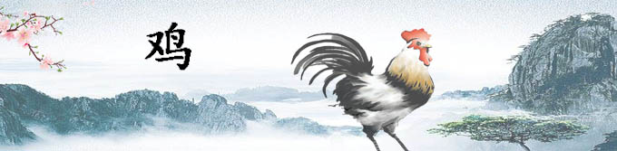 属鸡