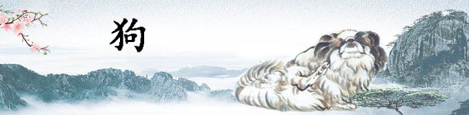 属狗