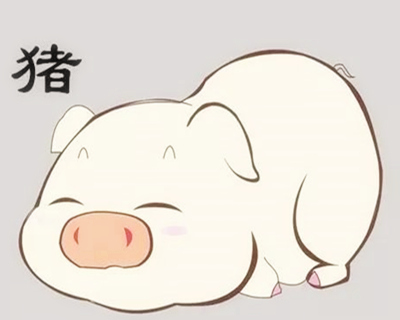 2007年属猪的人是什么命