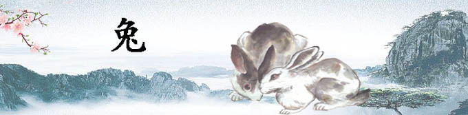 属兔