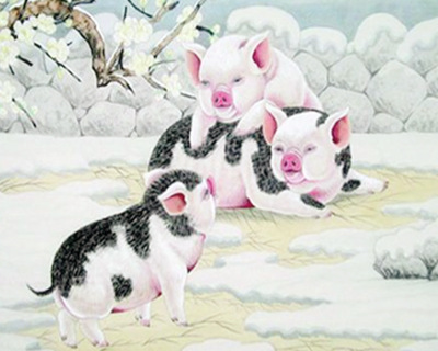 2019年属猪的人是什么命