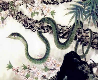 属蛇的贵人是什么属相 属蛇的贵人是什么属相