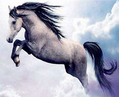 属马的贵人是什么属相 属马的贵人是什么属相