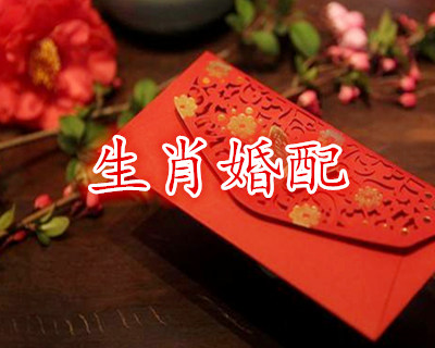 属牛的和什么属相最配