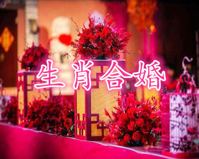 属虎的和什么属相最配 属虎的和什么属相最配