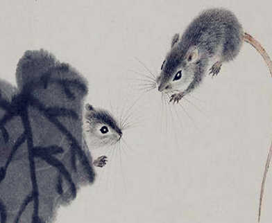 属鼠的男人性格特点及脾气 属鼠的男人性格特点及脾气