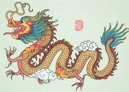 属龙适合养什么植物 属龙适合养什么植物