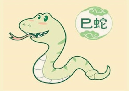 属蛇适合养什么植物 属蛇适合养什么植物