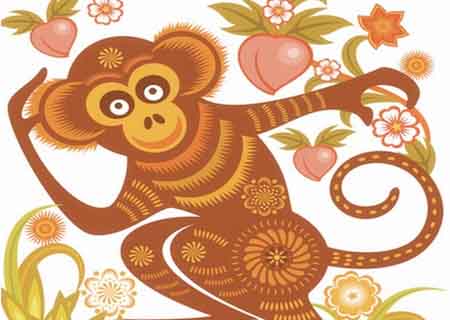 属猴适合养什么植物