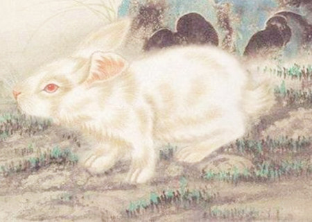 属兔适合做什么生意 属兔适合做什么生意