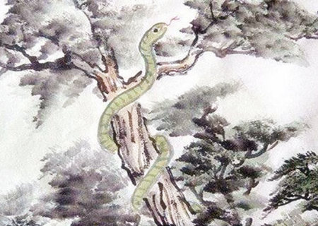 属蛇适合做什么生意