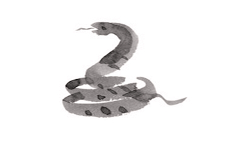 属蛇的人性格 属蛇的人性格