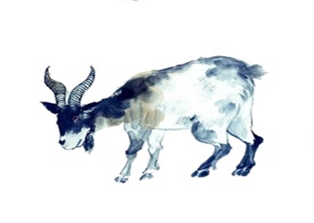 属羊的人性格 属羊的人性格