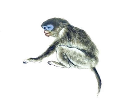 属猴的人性格 属猴的人性格