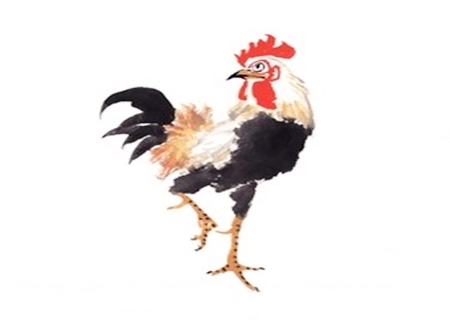 属鸡的人性格 属鸡的人性格