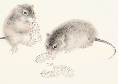 鼠和鸡的属相合不合 鼠和鸡的属相合不合