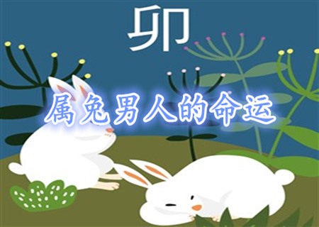 兔_副本.jpg 兔_副本.jpg