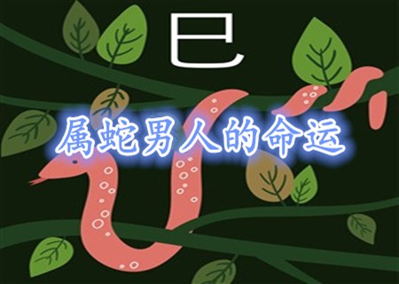 属蛇的男人命好不好 属蛇的男人命好不好