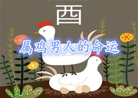 属鸡的男人命好不好 属鸡的男人命好不好