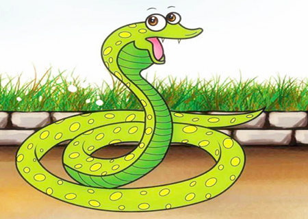 属蛇的取名带什么字好 属蛇的取名带什么字好