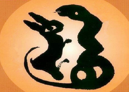 蛇和兔的属相合不合 蛇和兔的属相合不合