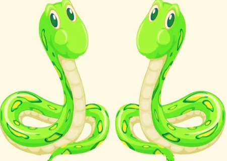 蛇和蛇的属相合不合 蛇和蛇的属相合不合