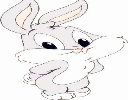 属兔和什么属相不合 属兔和什么属相不合