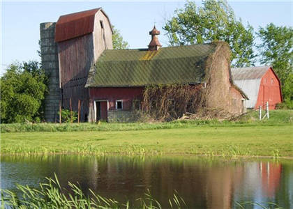 属蛇的人住宅风水 属蛇的人住宅风水