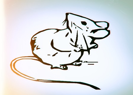 属鼠人2020年健康运如何