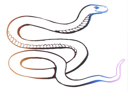 属蛇人2020年健康运如何 属蛇人2020年健康运如何