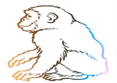 属猴人2020年健康运如何 属猴人2020年健康运如何