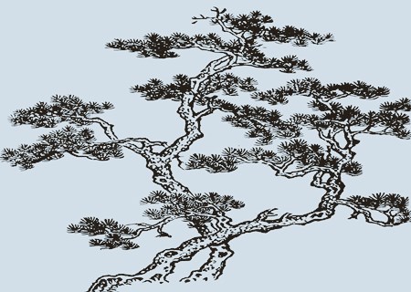 属木的生肖有哪些 属木的生肖有哪些