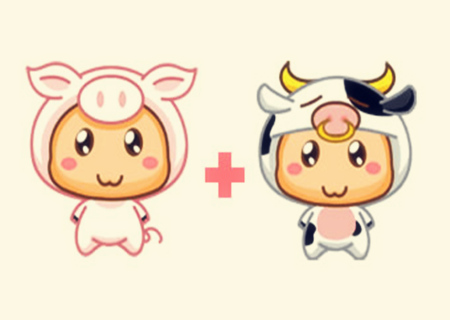 猪和牛的属相合不合