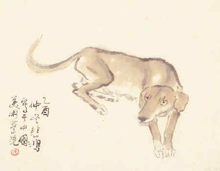 狗和牛的属相合不合