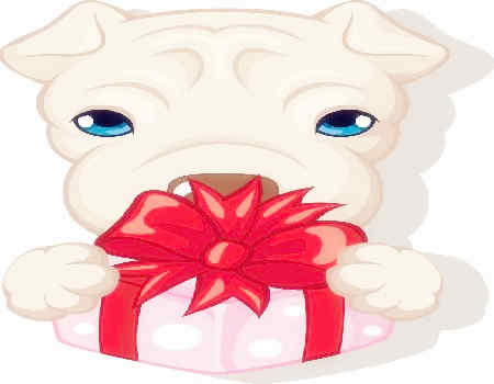 狗和猪的属相合不合