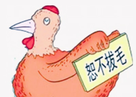 最小气的生肖是什么 最小气的生肖是什么