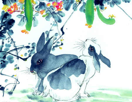 属兔的年份、是多少年的