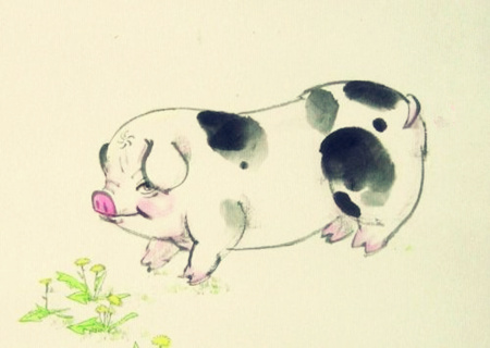 属猪一生财运如何