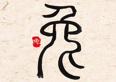 属兔女人生于几月偏财运好