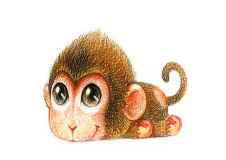 属猴人的贵人是什么属相 属猴人的贵人是什么属相