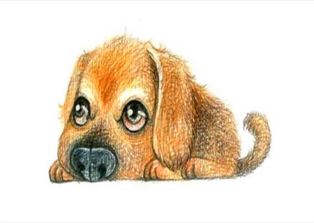 属狗人的贵人是什么属相