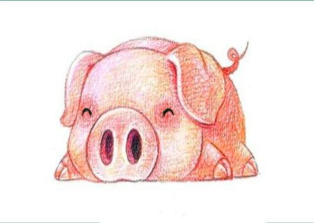 属猪人的贵人是什么属相