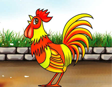 属鸡和什么属相相克 属鸡和什么属相相克